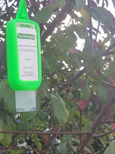 Load image into Gallery viewer, Hand Sanitiser 50ml - with colourful case